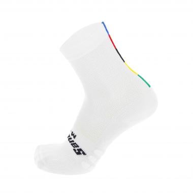 Calcetines SANTINI UCI OFFICIAL Blanco  0