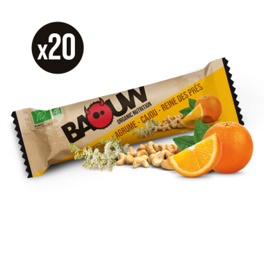 BAOUW! BIO Pack of 20 Energy Bars Citrus/Cashew/Allspice 0