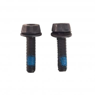 CAMPAGNOLO 2x19 mm Screw for 10 - 14 mm Chainstay Depth 0