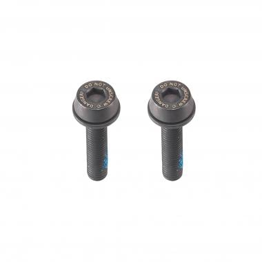 CAMPAGNOLO 2x24 mm Screw for 15-19 mm Chainstay Depth 0